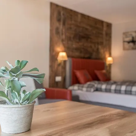 Apartament 2 Kitzbühel